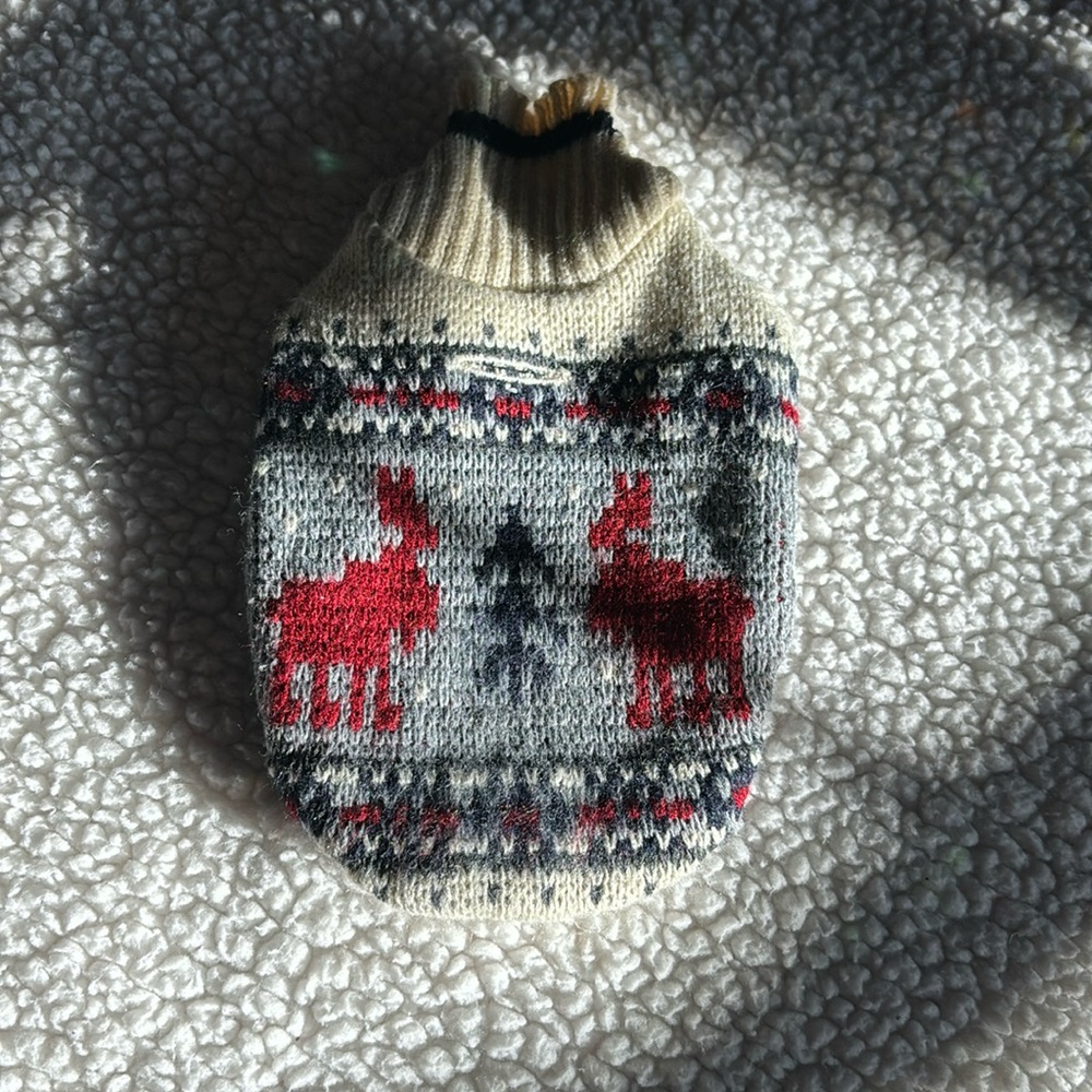 Pup sweater